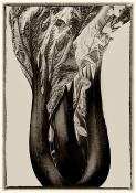 art of Charlie Kreitler